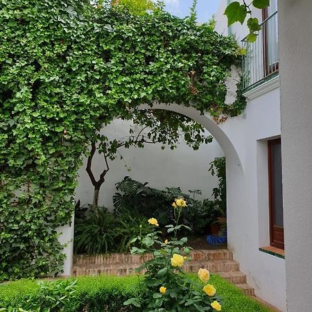 Ferienwohnung Entre 2 Mezquitas Córdoba Exterior foto